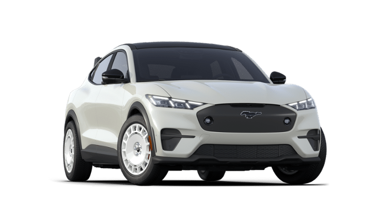 Mustang Mach-E® vehicle